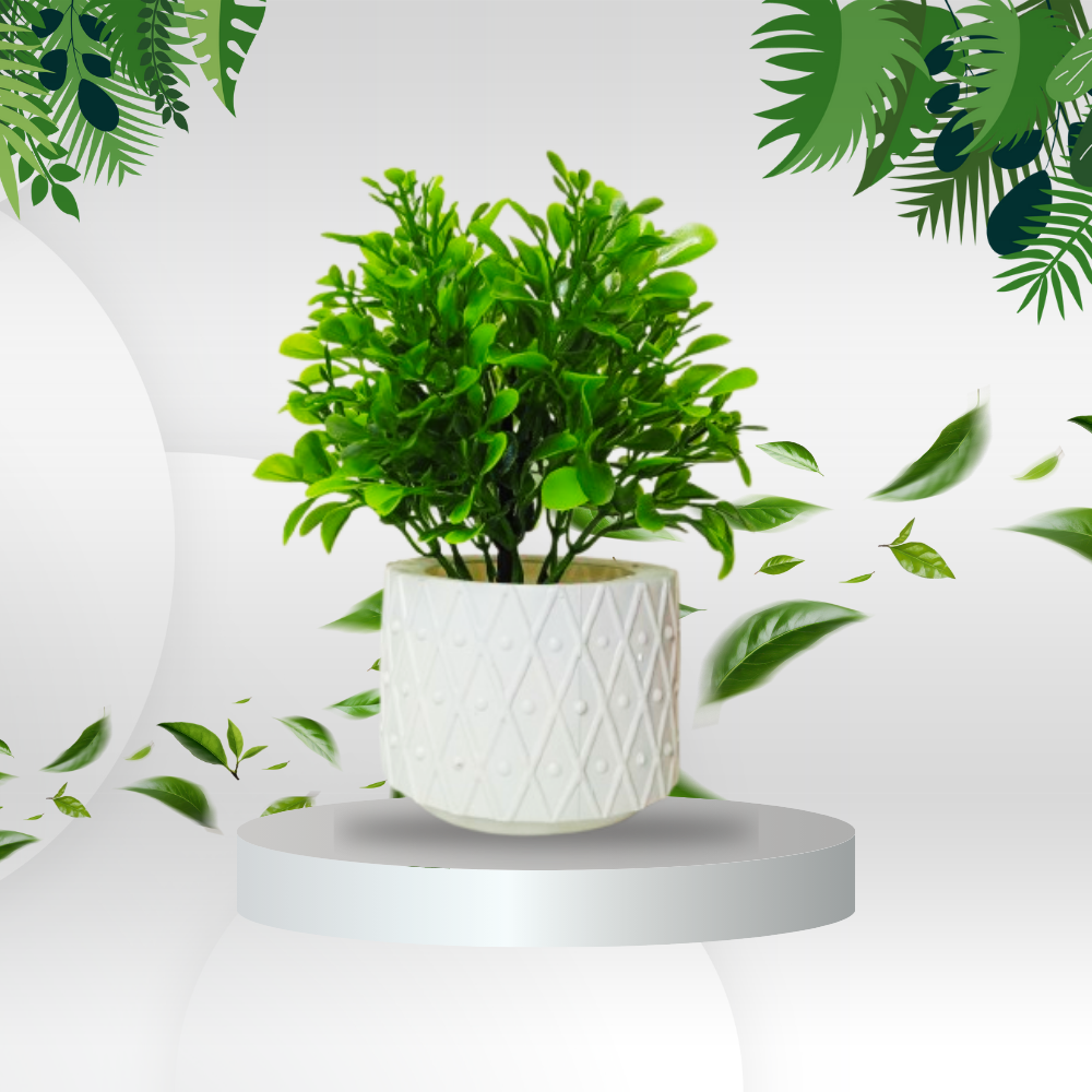 Stylish Tabletop Mini Planters with Plastic Pot