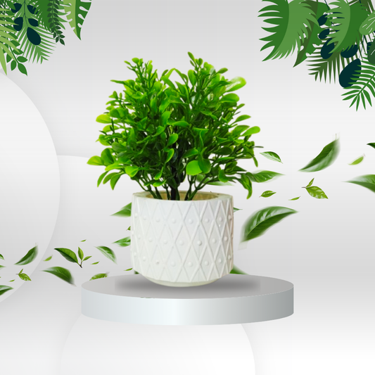 Stylish Tabletop Mini Planters with Plastic Pot
